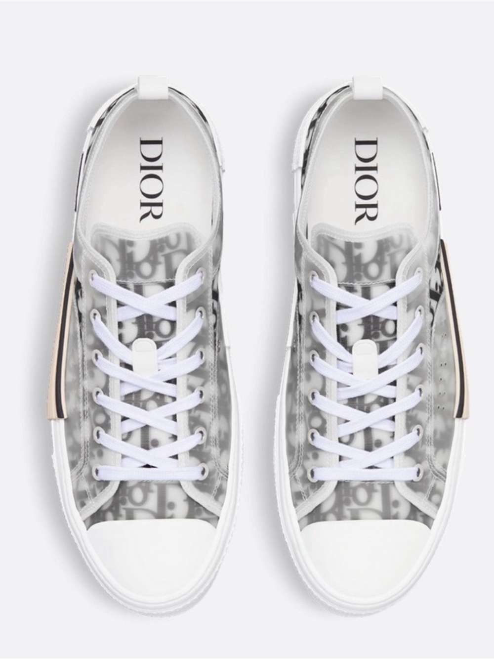 Dior White and Gray B23 Transparent no dusty bag and they are blurred inside